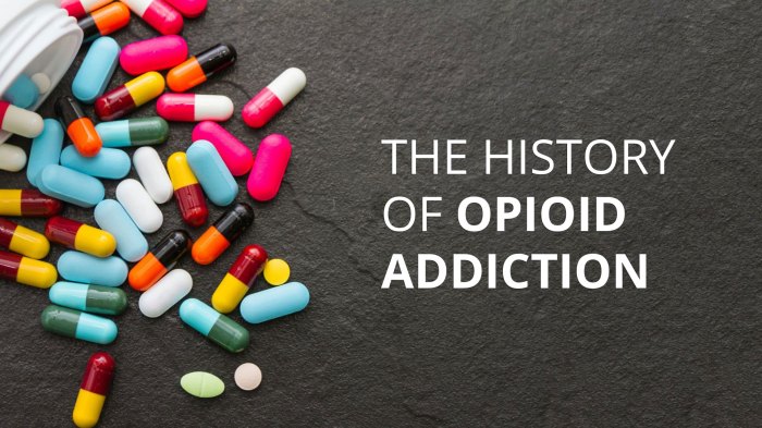 Opioid history addiction crisis epidemic drug opiate long